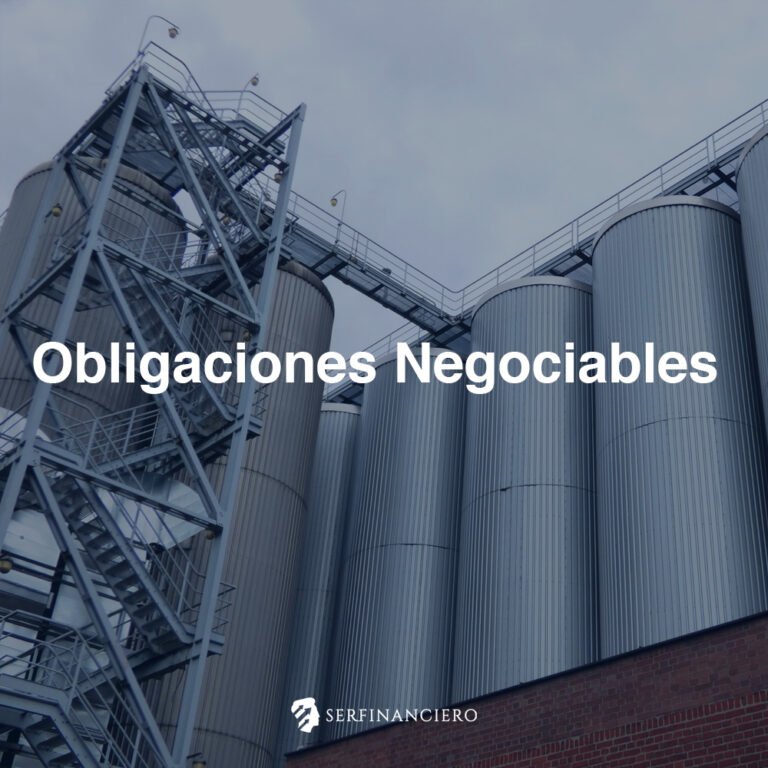 Obligaciones Negociables