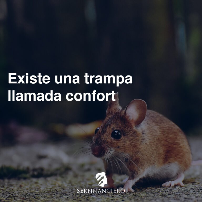 Zona de confort