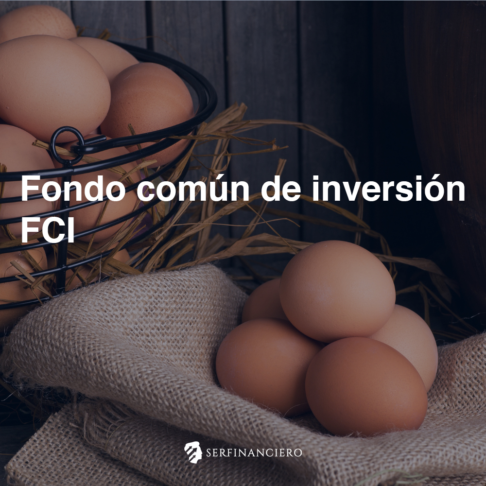Fondo comun de inversión