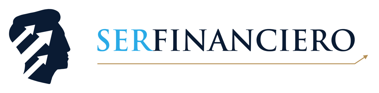 Logo Ser Financiero_Sin leyenda