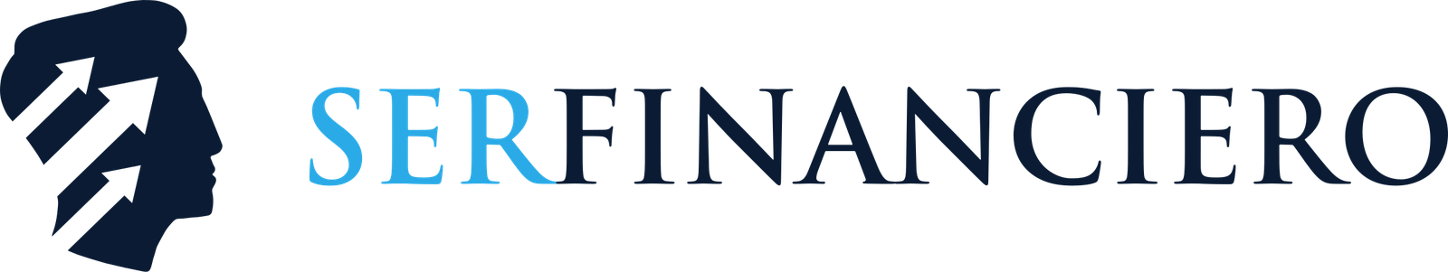 Ser Financiero